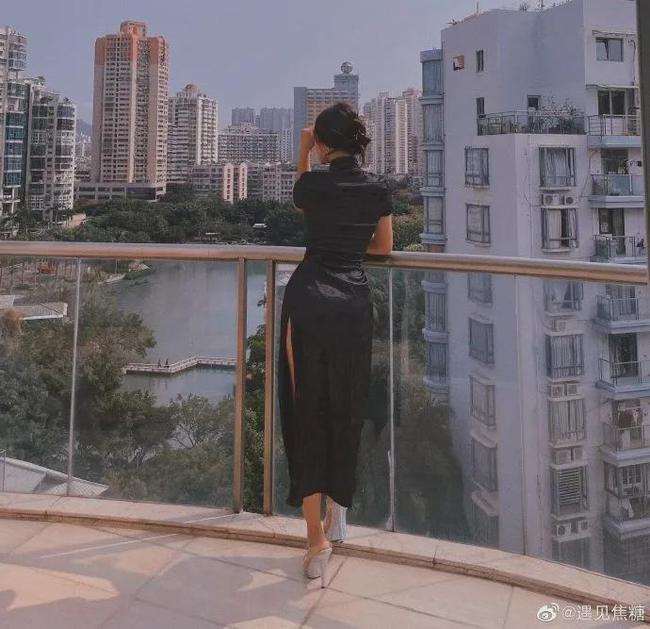 毛绒宠物美容院下载